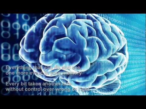 Computer Brains