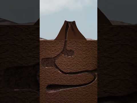 The Dark Secret of Ant Colonies