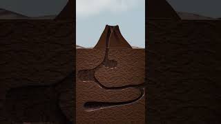 Download lagu The Dark Secret of Ant Colonies mp3 Download lagu The Dark Secret of Ant Colonies mp3