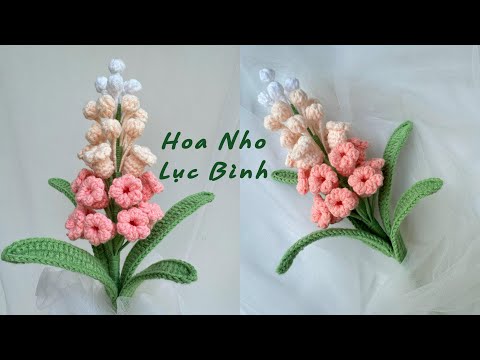 Hoa nho lục bình (hyacinth)