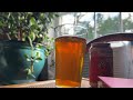 Randy Newman Pumpkin Ale Commercial