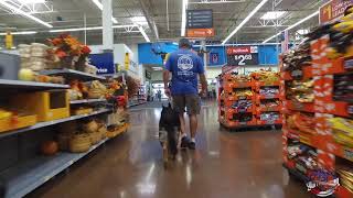 German Shepherd &quot;Dakota&quot; l Awesome Transformation l Bulletproof Dog Training Cincinnati
