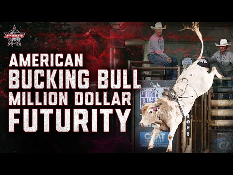 American Bucking Bulls Million Dollar Futurity | PBR