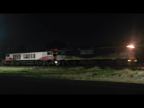 9721V SCT down "Dooen Express" (GL105 CSR007, 36W), Melbourne to Dooen, 0435, 4/3/26, Murtoa VIC