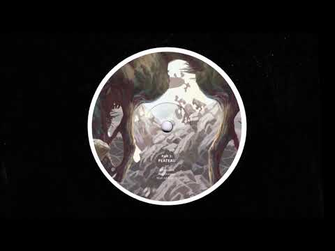 Birds ov Paradise - Jet