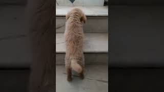 Download lagu #Naughty #Gogo😎 mp3 Download lagu #Naughty #Gogo😎 mp3