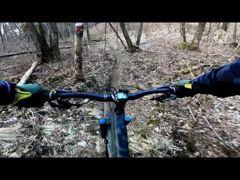 Forte DH basso (Bernadia) Trail Care