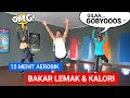 Senam Aerobik Hanya 15 Menit Bikin GOBYOSS Lemak Dan Kalori Meleleh