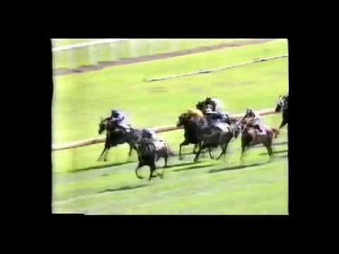 1987 Canterbury Guineas - Tidal Light