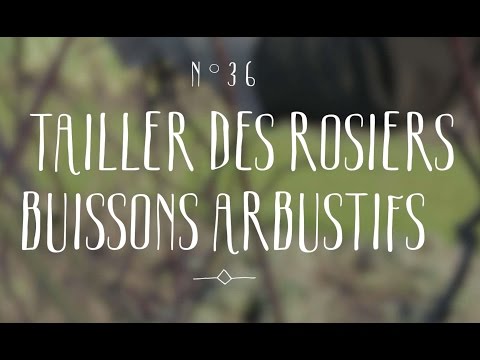 download lagu mp3 mp4 Jardiner Malin Rosier, download mp3 Jardiner Malin Rosier free downloadn, video klip Jardiner Malin Rosier