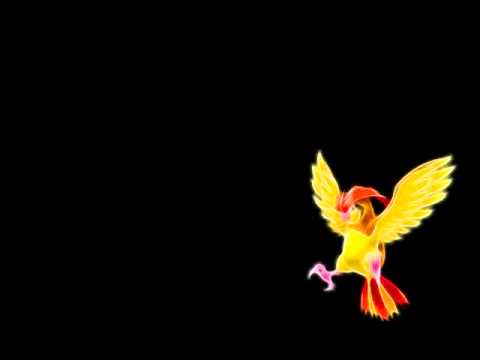 Protoflight - Pidgeotto (Pokemon Split) #17