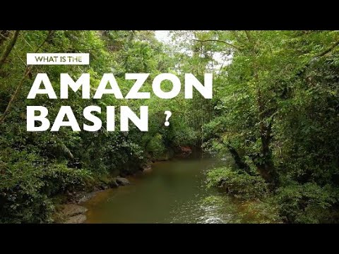 What is the Amazon Basin?