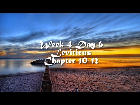 Audio Bible Reading Plan - Week 4 Day 6 (Leviticus 10-12)