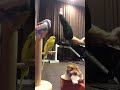 モフモフとムキムキのドラゴンフラッグ