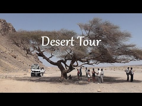 EGYPT: Desert tour, including camel ride (Marsa Alam)