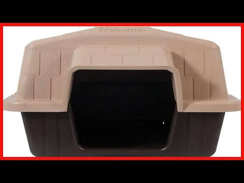 Bon produit -  Petmate Aspen Pet Outdoor Dog House, Extra Small, pour animaux de compagnie jusqu'à 1