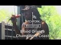 Blood Orange Champagne Coast Pitchfork Music Festival 2013