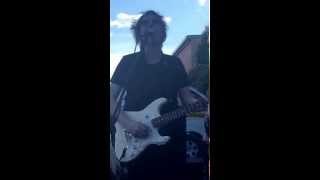 The Vines- Into the Fire