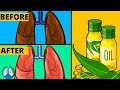 How to Cleanse Your Lungs with Eucalyptus Oil | Respiratory Therapy Zone