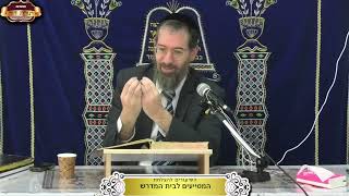 ברכות המשך דף ל"א ע"א ¤ הרב ישי לסר ¤ ז' שבט תשפ"ו (25.1.2026) (מוסדות תורת דוד) - התמונה מוצגת ישירות מתוך אתר האינטרנט יוטיוב. זכויות היוצרים בתמונה שייכות ליוצרה. קישור קרדיט למקור התוכן נמצא בתוך דף הסרטון