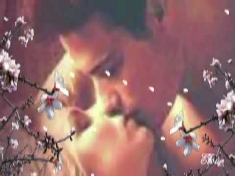 HERMINIO RAMOS MIX HD nadie se muere de amor   tu vida destruida esta y otros mpg