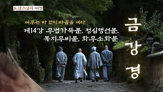 금강경 제14강 무법가득분, 정심행선분, 복지무비분, 화무소화분