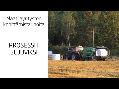 Prosessien parantaminen