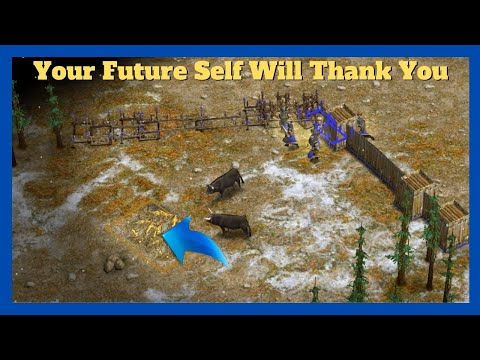 Norse and Early Walls is EVERYTHING | Nullus (Thor) vs Shelty (Set) #aom #ageofempires