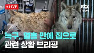 [LIVE] 건강 이상 없음 늑구, 열흘 만에 집으로...관련 상황 브리핑 [이슈현장] / JTBC News