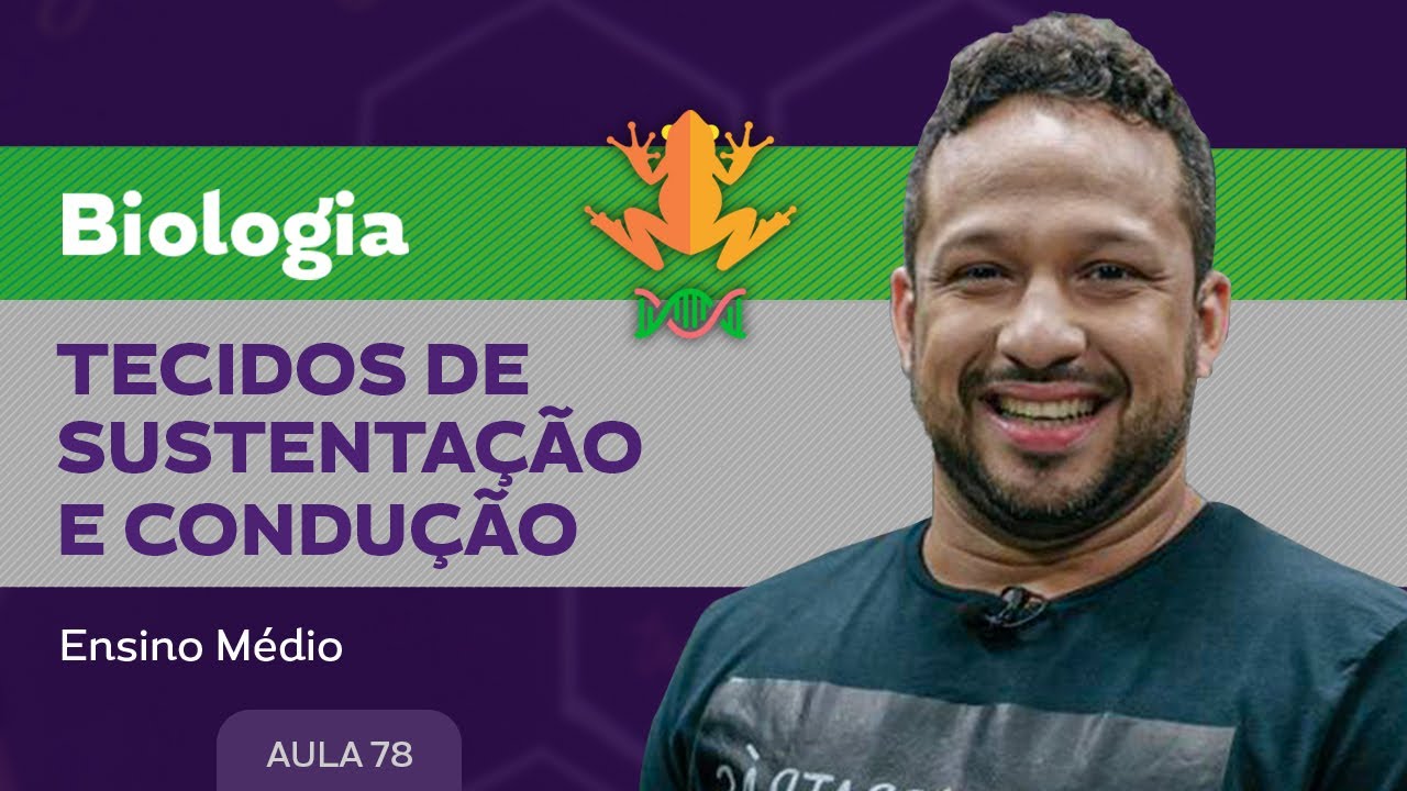 Tecidos de sustentação e condução​ - Biologia - Ensino Médio