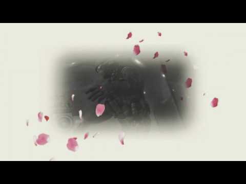 a strange feeling about solitude