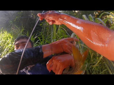 SE03EP060 - FAST X ! SINAKYAN at NIYAPOS para WALANG TAKAS! ( Catch & Cook ) San Pablo City, Laguna