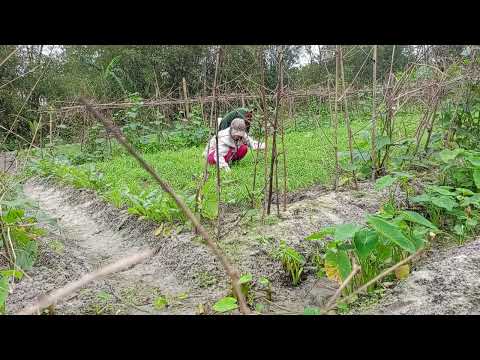 The Art of Crafting Traditional Skills from the Countryside