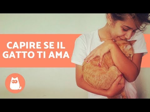 Medicina per lyambliya e toksokar Trattamento di risposte di adulto di parassiti