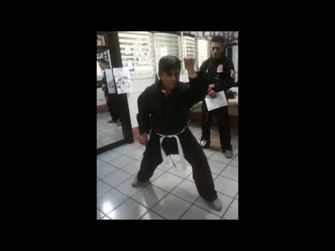 kenpo elite 2