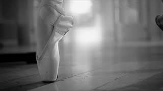 Roman Hampacher - Vítr