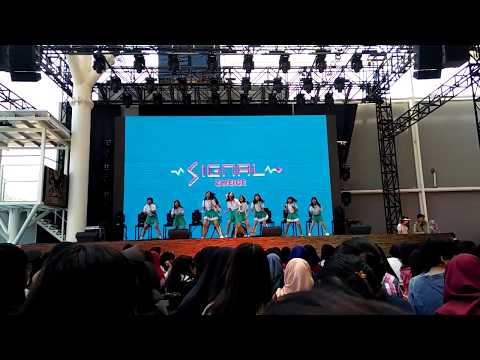 [170827] Zweice (Twice Dance Cover) - TT Remix + Signal