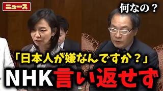 【移民問題】「日本人が悪人⁉」参政党の梅村議員がNHKの日本への批判＆印象操作を徹底非難【外国人問題 /辺野古/中国問題 】