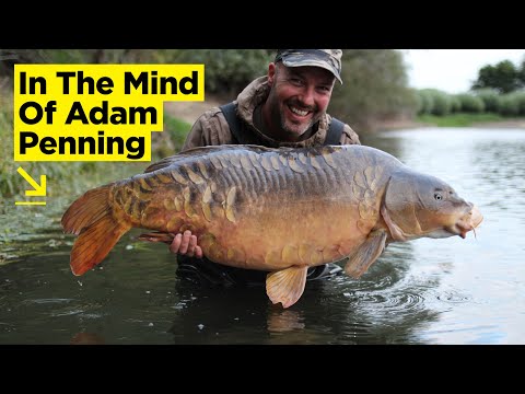 In The Mind Of Adam Penning... Consultancies, Carp and Surviving Lockdown | Carp Fishing 2020