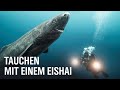 Geister der Arktis – Das Geheimnis der Eishaie | NDR Doku