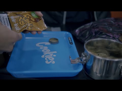 Miniatura de TRAVIS PASTRANA