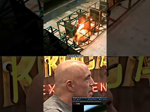 Joe Rogan Reacts to US Navy Railgun