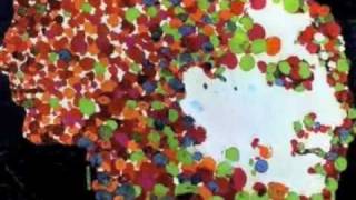 Big Bill Broonzy and Pete Seeger - Crawdad Song ( Live)