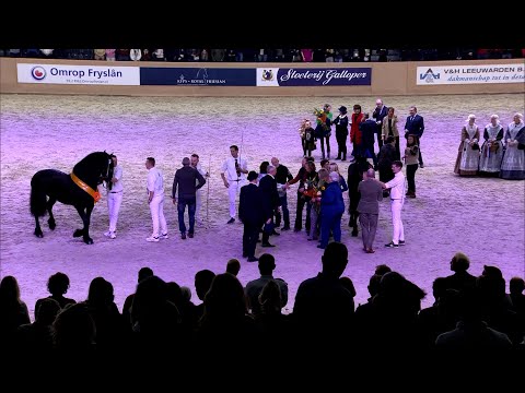 HK 2023 | Algemeen kampioenschap