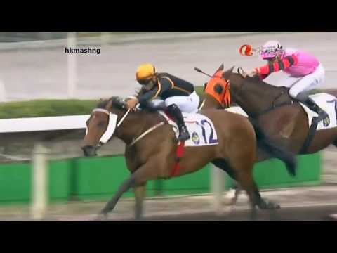 2014 The Chinese General Chamber Of Commerce Cup - Able Warrior (步步威) - 田泰安