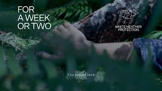 Fleet Foxes - For A Week Or Two (Lyric Video)