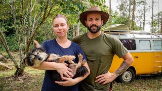 Compramos um terreno no interior de Santa Catarina