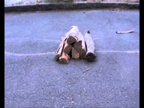 arvid hoppar över vedträ!