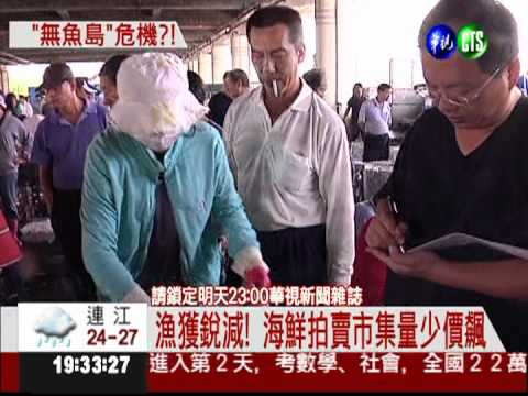 近海漁獲少6成 恐難吃到"現撈仔"