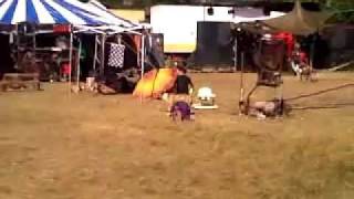 preview picture of video 'Romania teknival 2011 monkey family'
